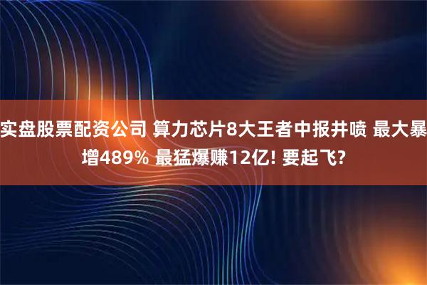 实盘股票配资公司 算力芯片8大王者中报井喷 最大暴增489% 最猛爆赚12亿! 要起飞?